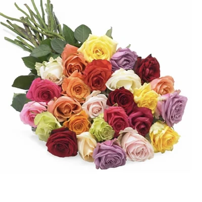 Mixed Roses Hollandsche-Rading